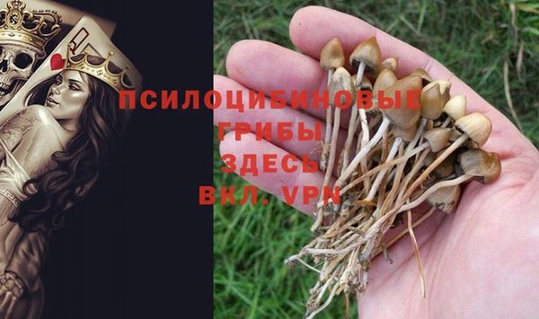 спайс Зеленокумск