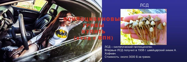 спиды Зерноград