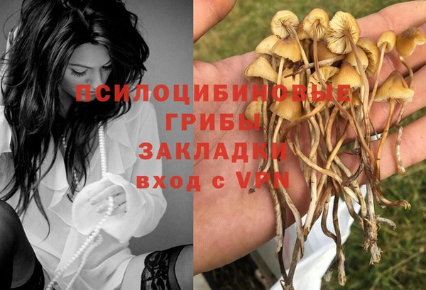 Альфа ПВП Липки