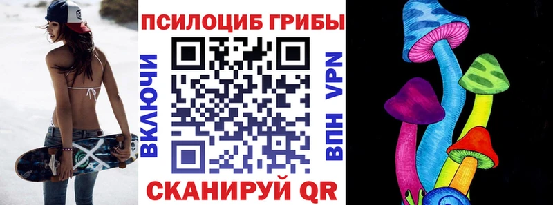 купить закладку  Шебекино  Псилоцибиновые грибы ЛСД 