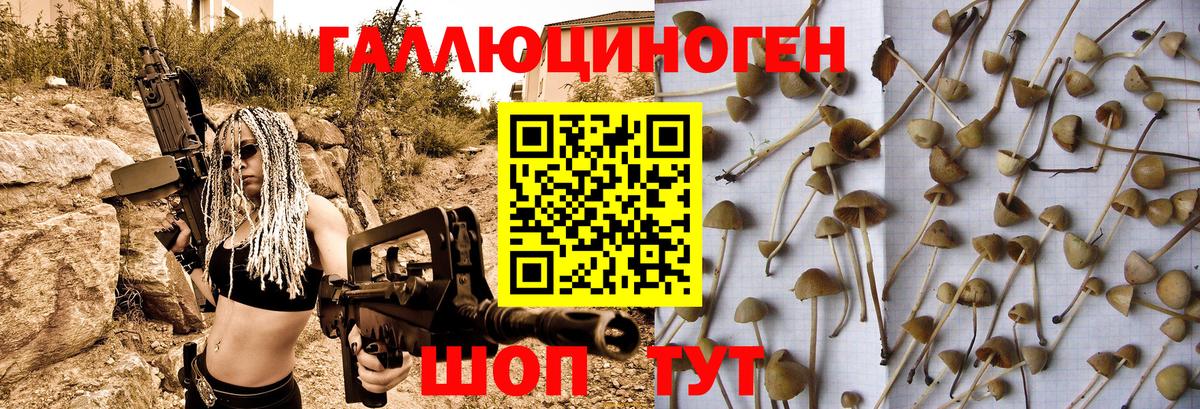 Галлюциногенные грибы Magic Shrooms  Шебекино 