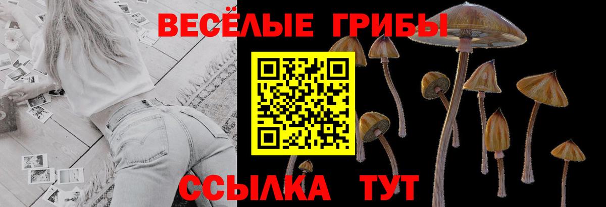 Псилоцибиновые грибы прущие грибы  Вход с VPN  Шебекино 