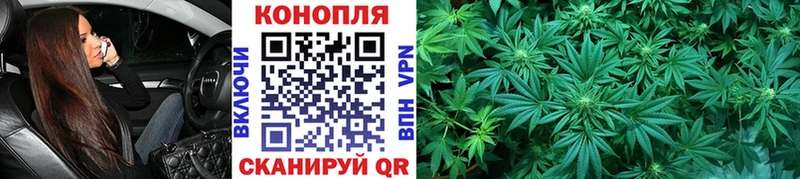 Каннабис ГИДРОПОН  Шебекино 